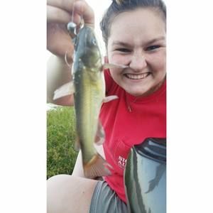 Meet your Posher, Briane